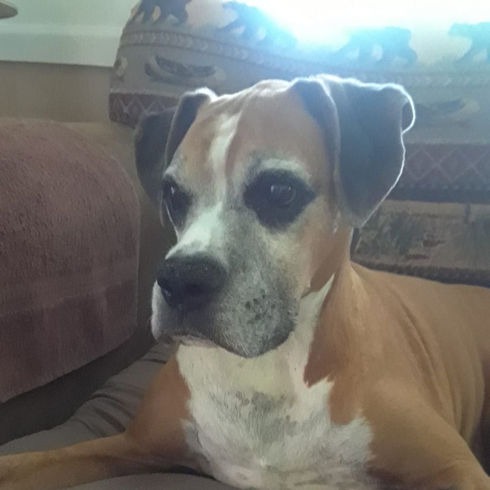 Meet your Posher, Nancy